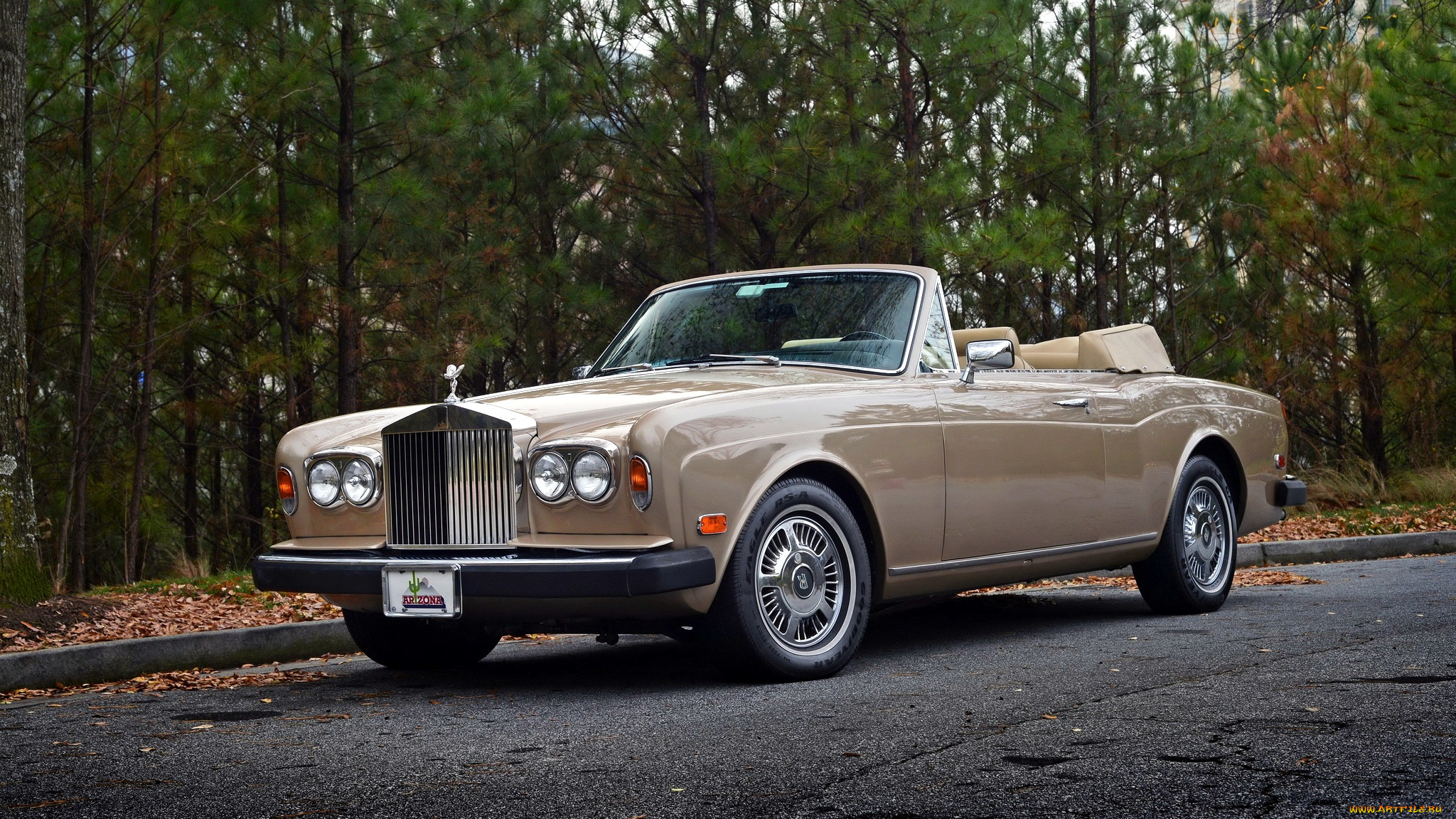 rolls, royce, corniche, , rolls-royce, limited, , -, 